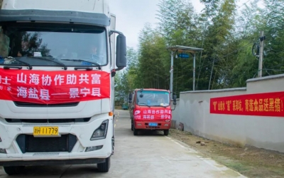 懷抱熱愛、奔赴山海~ 膳博士黑豬“遠嫁”景寧鄭坑助共富！